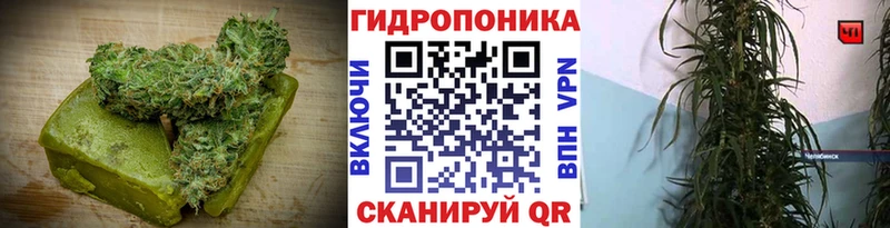 Купить закладки  Майкоп  Cannafood марихуана 