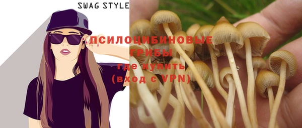 гидропоника Осинники